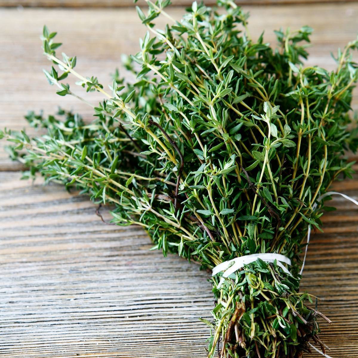 Thyme- Summer seeds | The Seed Collection