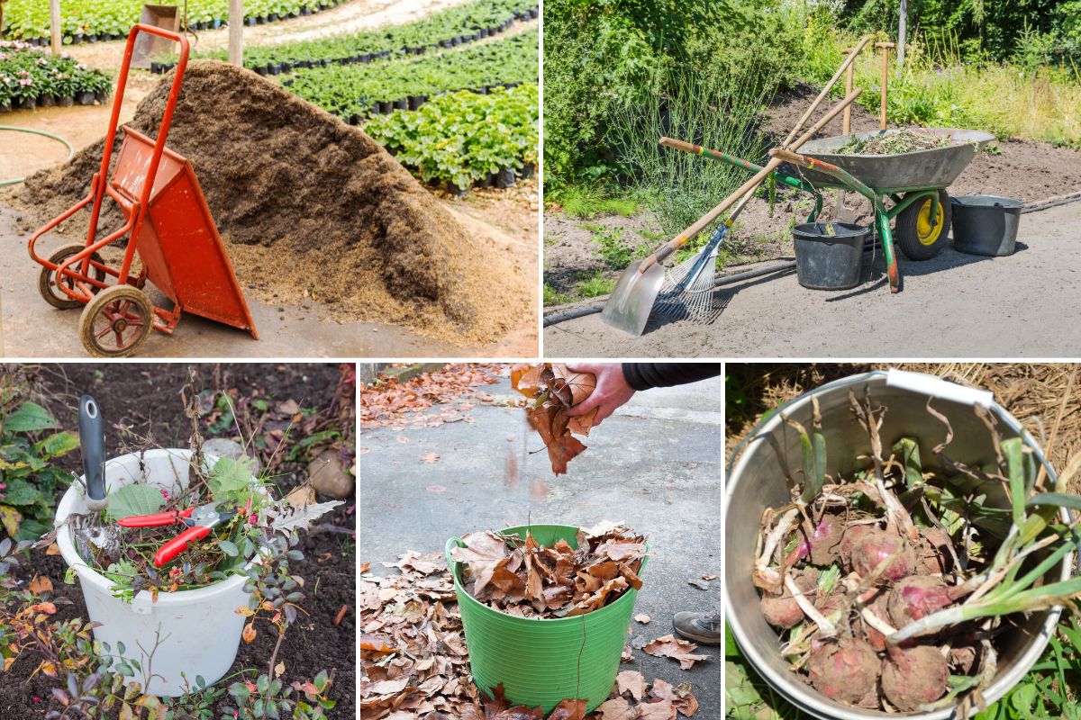 wheelbarrow bucket and trug