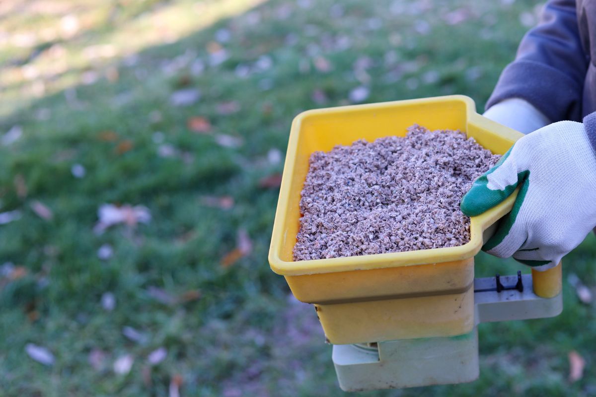 Mechanical seed spreader