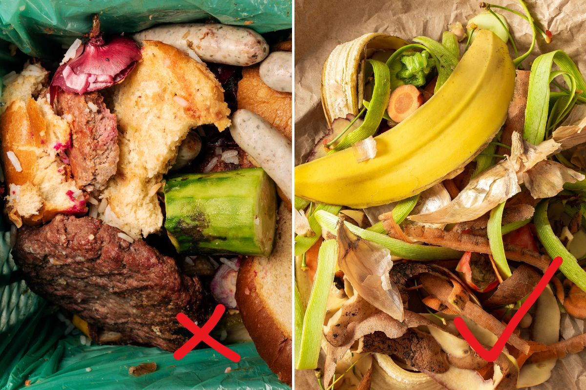 Organic kitchen waste