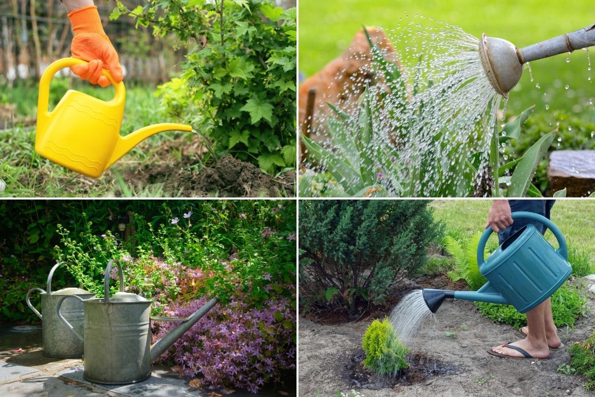 watering cans