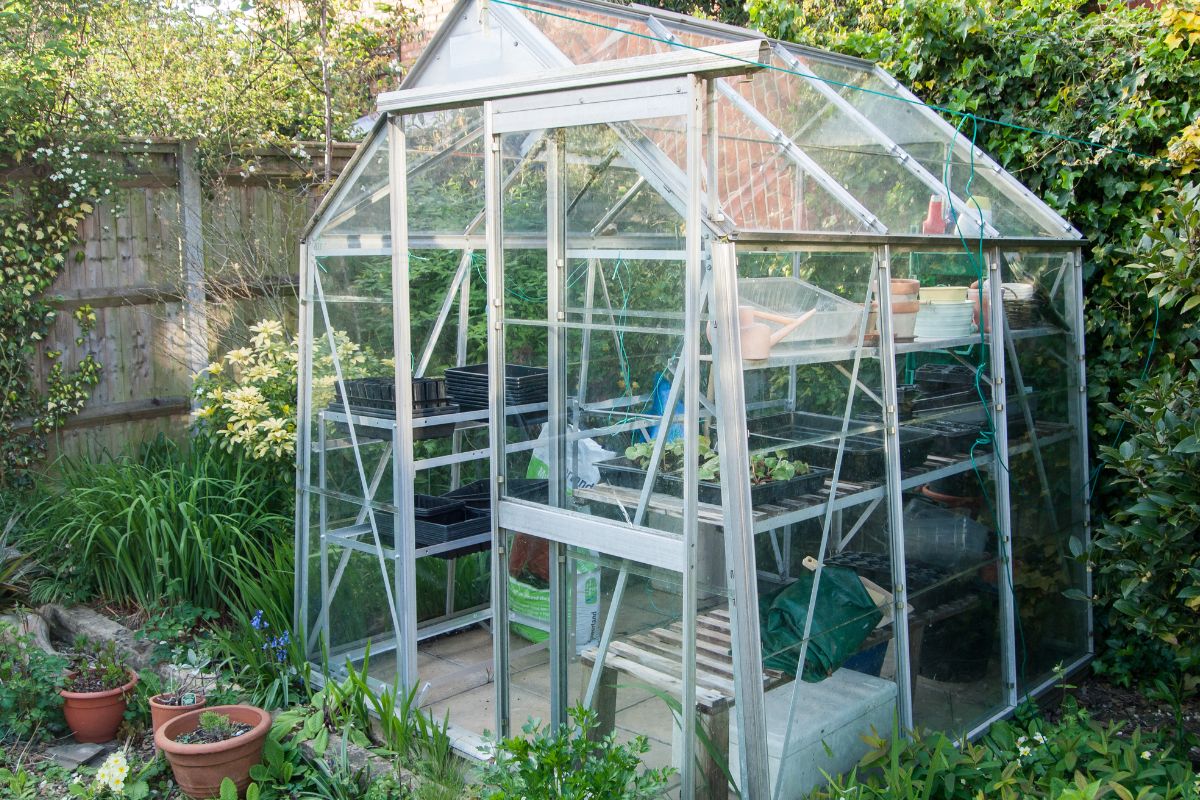 backyard greenhouse