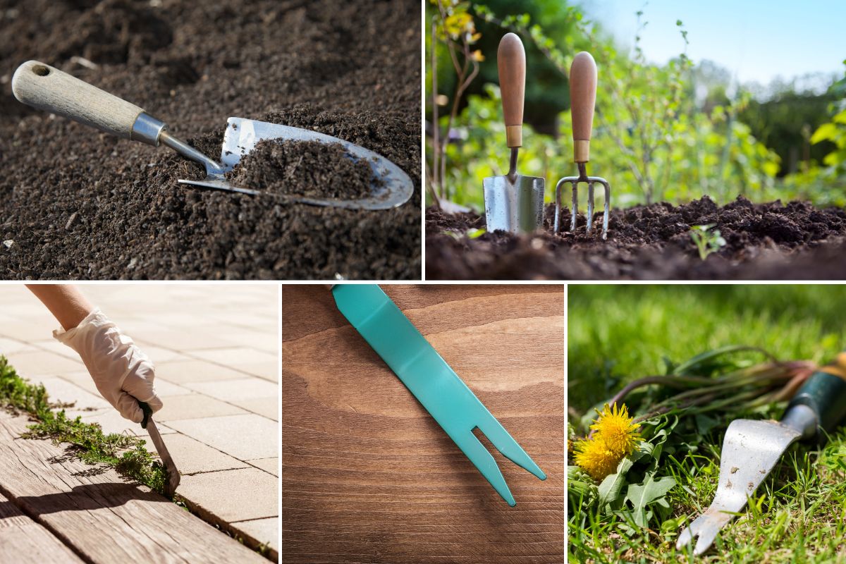 hand trowel fork and weeders