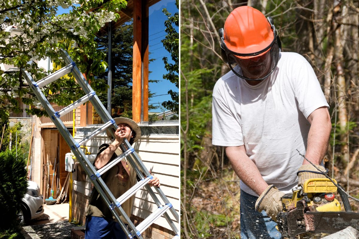 ladder chainsaw