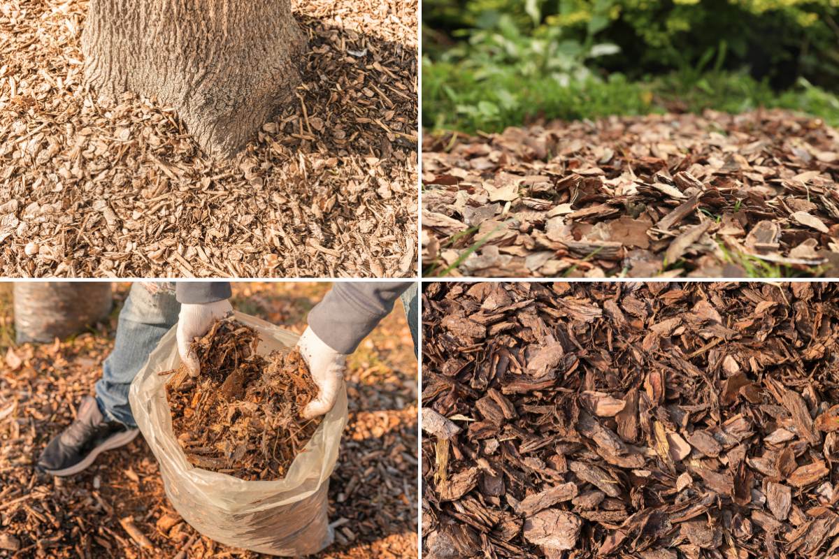 Organic mulch