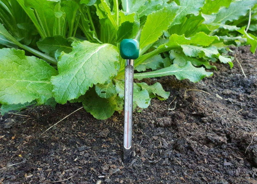 https://www.theseedcollection.com.au/assets/images/soil%20thermometer2_850.jpg