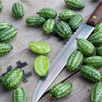 Cucamelon