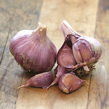 Garlic- Dunganski (Bulb)