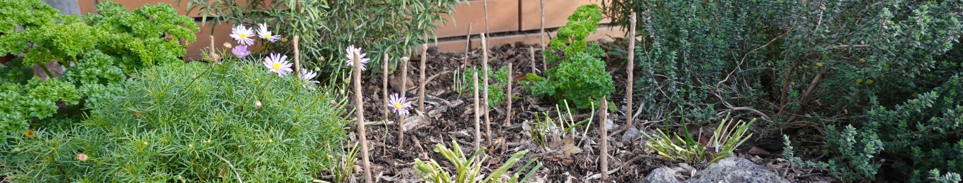 The Stick Method: The Ultimate Low-Tech Form of Pest Control