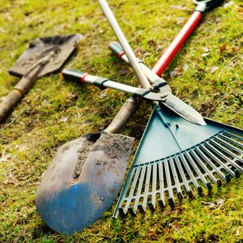 Complete Guide to Maintaining Your Garden Tools 