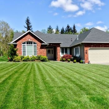 Lawns: The Benefits, Drawbacks, and Alternatives