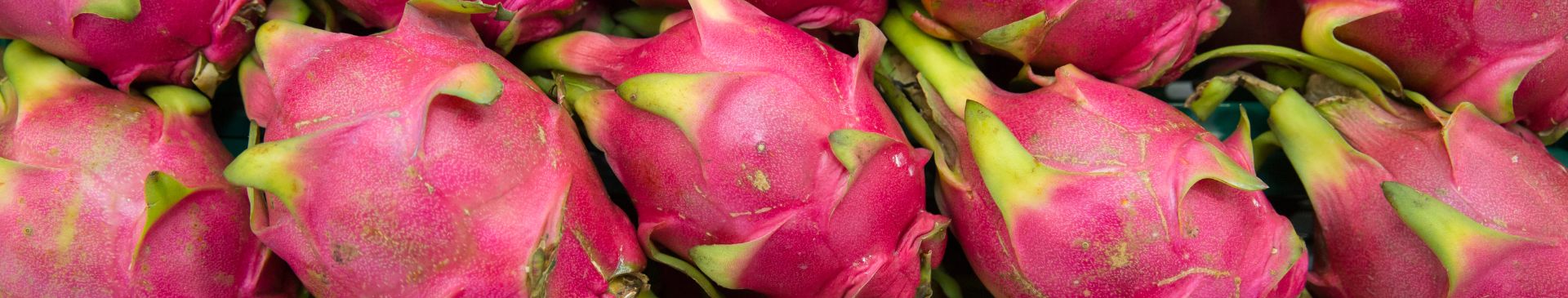 Dragon Fruit - How To Eat Them and What They Taste Like