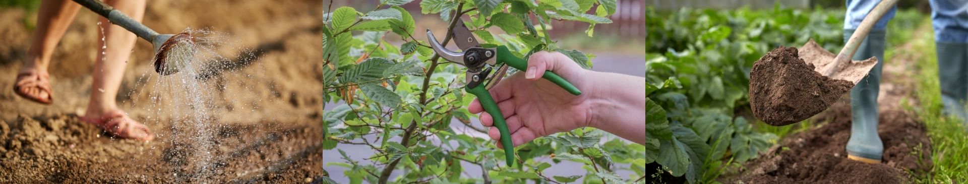 10 Essential Tools To Have In Your Garden Shed