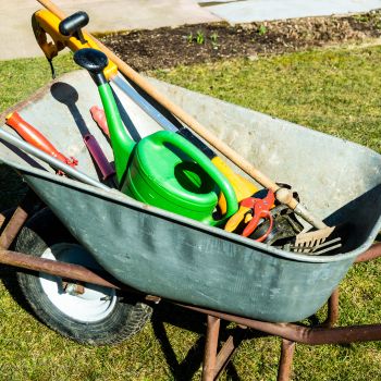 10 Essential Tools To Have In Your Garden Shed