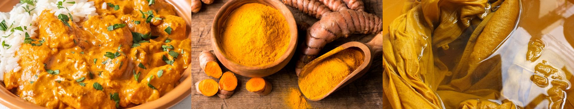 Turmeric’s Many Uses: Cooking, Colouring, and Natural Dyeing