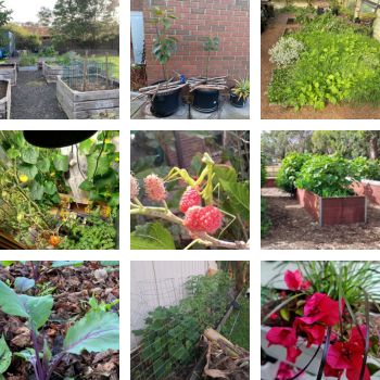 Show Us Your Garden- Winter 2025